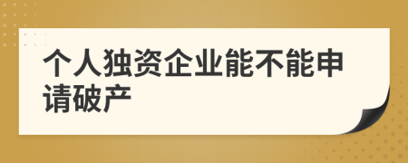 个人独资企业能不能申请破产