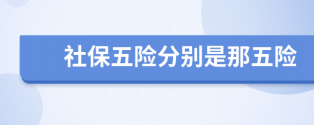 社保五险分别是那五险