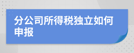 分公司所得税独立如何申报