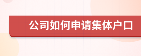 公司如何申请集体户口
