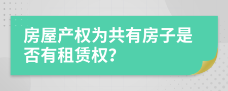 房屋产权为共有房子是否有租赁权？