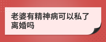 老婆有精神病可以私了离婚吗