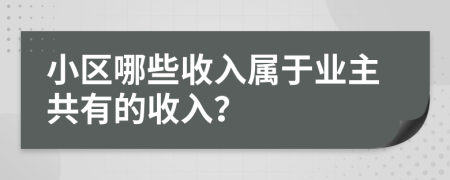 小区哪些收入属于业主共有的收入？