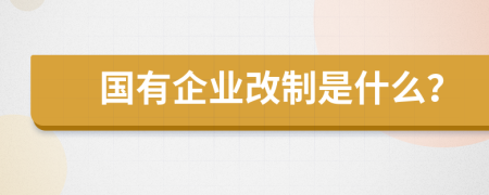 国有企业改制是什么？