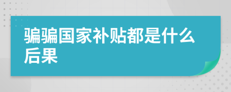 骗骗国家补贴都是什么后果