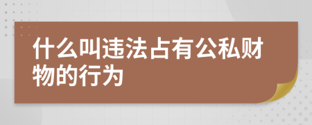 什么叫违法占有公私财物的行为