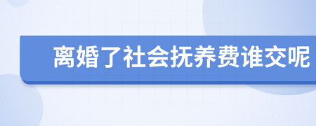 离婚了社会抚养费谁交呢