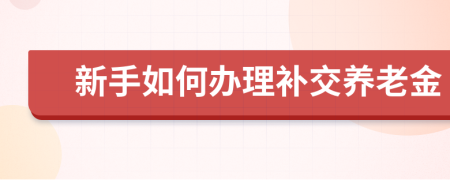 新手如何办理补交养老金