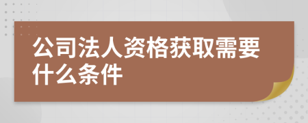 公司法人资格获取需要什么条件