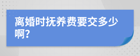 离婚时抚养费要交多少啊？