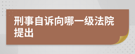 刑事自诉向哪一级法院提出