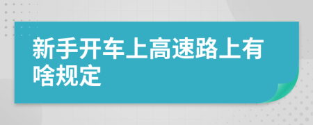 新手开车上高速路上有啥规定