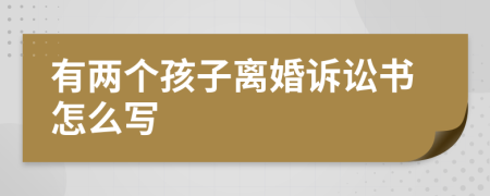 有两个孩子离婚诉讼书怎么写