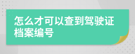 怎么才可以查到驾驶证档案编号