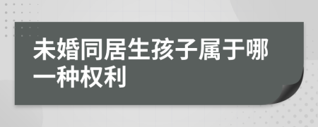 未婚同居生孩子属于哪一种权利