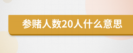 参赌人数20人什么意思