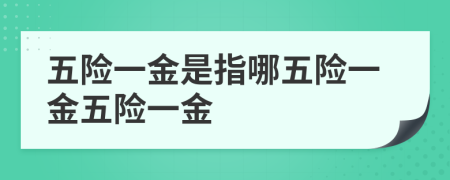 五险一金是指哪五险一金五险一金