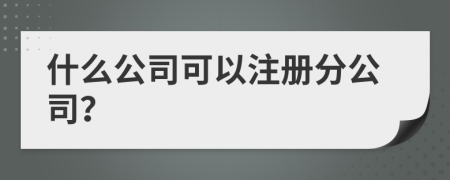 什么公司可以注册分公司？