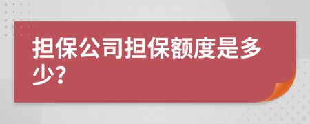 担保公司担保额度是多少？