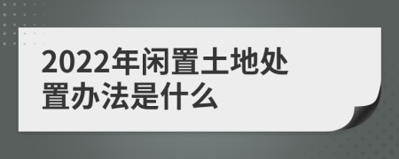 2022年闲置土地处置办法是什么