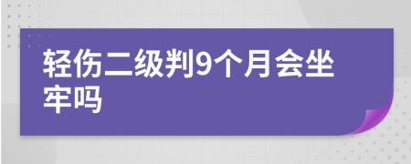 轻伤二级判9个月会坐牢吗