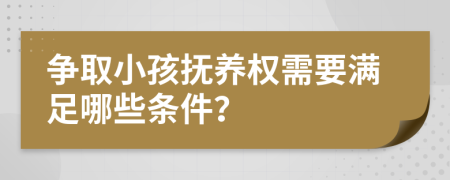 争取小孩抚养权需要满足哪些条件？