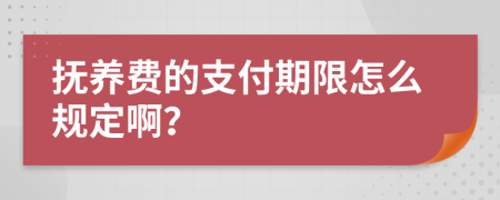 抚养费的支付期限怎么规定啊？