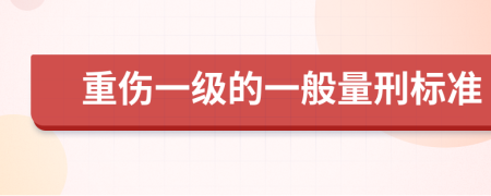 重伤一级的一般量刑标准