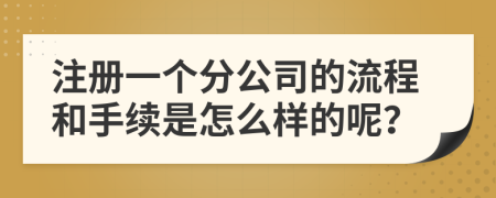 注册一个分公司的流程和手续是怎么样的呢？