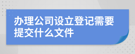 办理公司设立登记需要提交什么文件