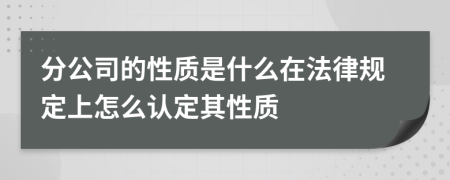 分公司的性质是什么在法律规定上怎么认定其性质