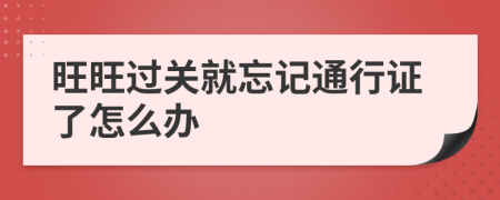 旺旺过关就忘记通行证了怎么办