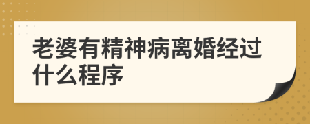 老婆有精神病离婚经过什么程序