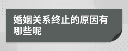 婚姻关系终止的原因有哪些呢