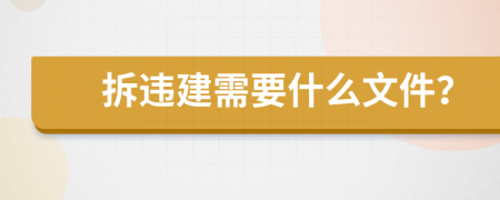 拆违建需要什么文件？