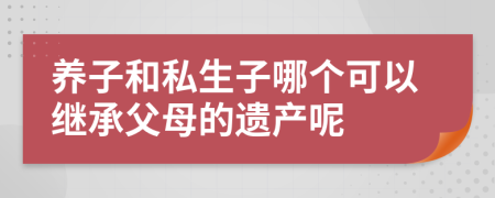 养子和私生子哪个可以继承父母的遗产呢