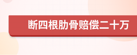 断四根肋骨赔偿二十万