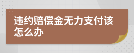 违约赔偿金无力支付该怎么办