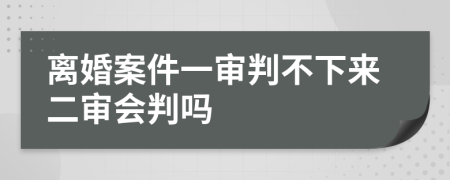 离婚案件一审判不下来二审会判吗
