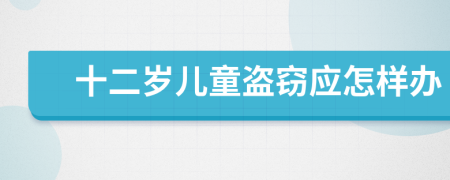 十二岁儿童盗窃应怎样办