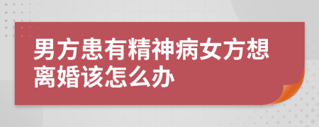 男方患有精神病女方想离婚该怎么办