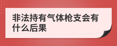 非法持有气体枪支会有什么后果