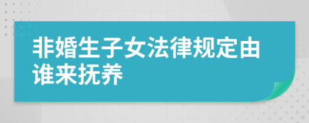 非婚生子女法律规定由谁来抚养