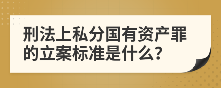 刑法上私分国有资产罪的立案标准是什么？