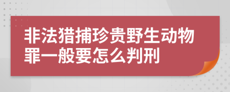 非法猎捕珍贵野生动物罪一般要怎么判刑