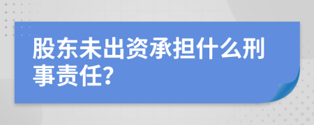 股东未出资承担什么刑事责任？