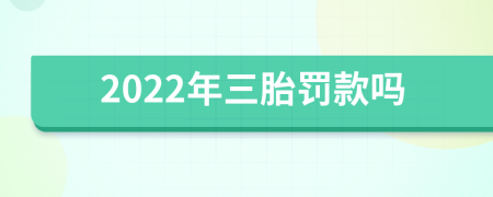 2022年三胎罚款吗