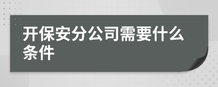 开保安分公司需要什么条件