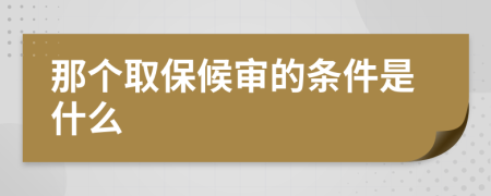 那个取保候审的条件是什么