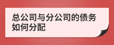 总公司与分公司的债务如何分配
